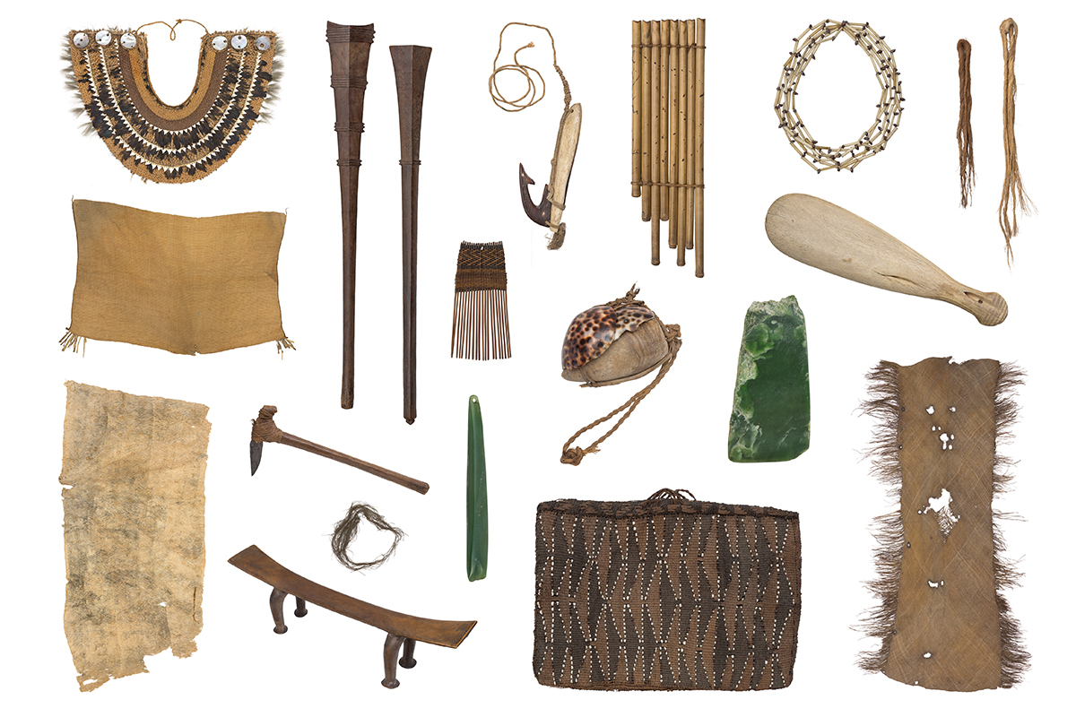 Forster und die Wörlitzer SüdseeSammlung gewerkdesign